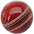 NOIee Cricket Ball Leather(Red) Standard Size