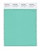 Produktbild Pantone Smart Farbe Swatch Karte Lucite Green