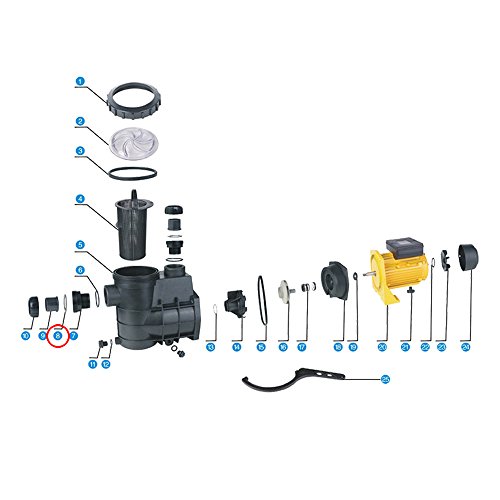 SunSun Schwimmbadpumpe Ersatzteil HZS-550 750 Dichtung 2 Poolpumpe Pumpe Pool - 2