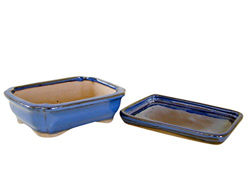 Bonsaischale glasiert blau eckig, L 16 cm x B 12,5 cm x H 5 cm mit Untersetzer + passende Abdecknetze - 2