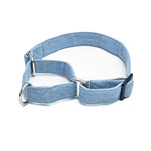 Mutt of Course Light Blue Denim Martingale Dog Collar (Large)