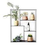 2. Einfache Und Praktische Design: Blumen Und Blumentöpfe Haben Eine Wachsende Naturraum, Lassen Ihre Pflanzen Die Sonne In Einer Komfortablen Umgebung genießen.