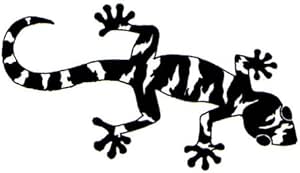 Amazon.de: Gecko Echse, Vinyl Aufkleber, Aufkleber - 60cm Breite - 24cm