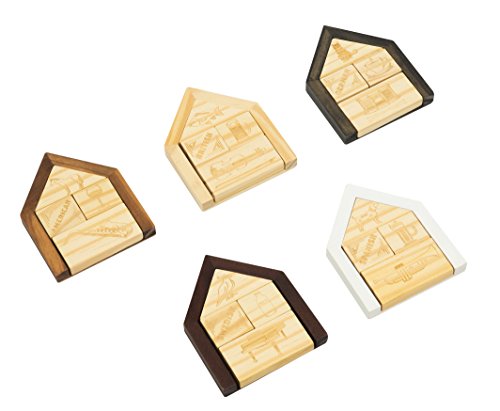 Professor Puzzle The Einstein Collection Einstein's House Riddle