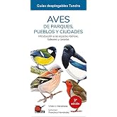 Aves de parques, pueblos y ciudades (AVES CULTURA POPULAR)