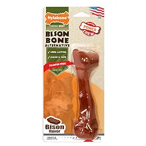 Nylabone Power Chew Bison Bone Alternative Nylon Chew Toy Bison Bison Large/Giant (1 Count)