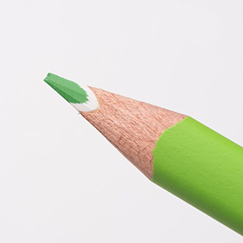 Staedtler 157 SB24 Buntstifte ergo soft (erhöhte Bruchfestigkeit, dreikant, Set mit 24 brillanten Farben, ABS-System, rutschfeste Soft-Oberfläche, kindgerecht nach DIN EN71, FSC-Holz, Made in Germany) - 6