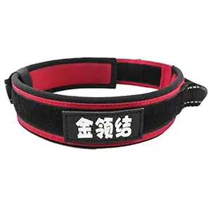 Meri Shop Pet Dog Oxford Collar Puppy Collar Neck Strap Reflective