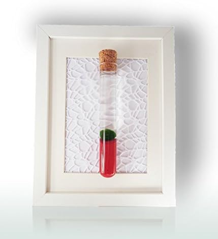 Marimo Moss Ball Nano In Mini Planter With Red Sand - Japanese RARE Green Live Moss - Terrarium Glass Vase Kit With Plants - Aquarium Plant Decor - Unique And Beautiful Gift