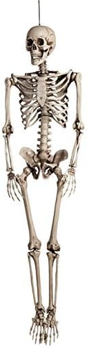 Deluxe Large Halloween Prop Skeleton