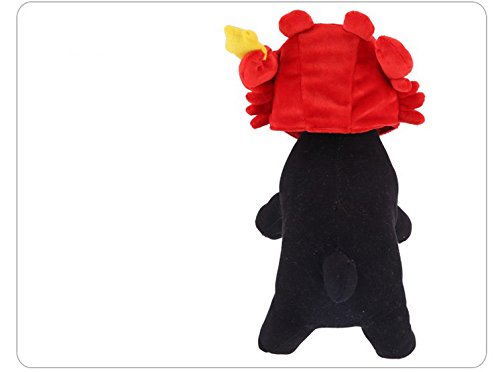 Animals-Funny-cats-and-dogs-turned-hat-Pet-cat-hat-headdress-ornaments