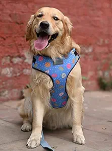 Mutt of Course Raining Donut Harness for Dogs (Large)