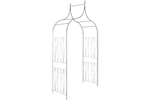 vidaXL Arche de Jardin Pointue pour Plantes Grimpantes Support de Rosiers