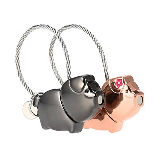 Foonii 1 par Parejas Llaveros, magnética Desmontable Auto Llaveros, para Parejas Mujer Hombre (Negra + Oro Rosa) - Imagen 6