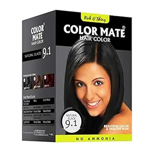 Color Mate No Ammonia Hair Color, 150g (9.1 Natural Black)