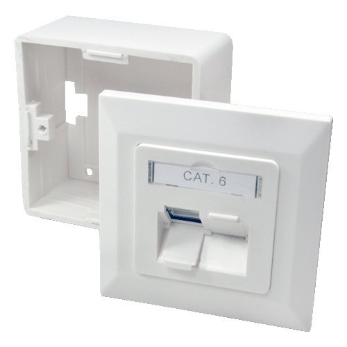LogiLink Netzwerk Auf -und Unterputzdose, CAT6, 2x RJ45 vollgeschirmt
