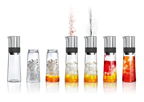 Blomus 63538 TEA-JAY on the rocks, Eisteezubereiter - 4