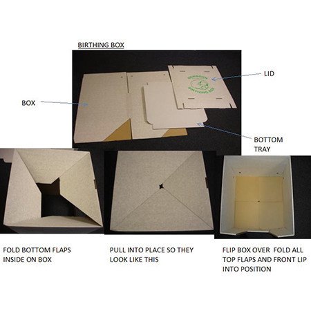Disposable-Whelping-Box-with-Pig-Rails-Small