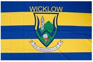GB POSTERS WICKLOW OFFICIAL IRELAND GAA crest COUNTY FLAG 152cm x91cm very limited stock