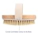 ACEVIVI Body Bath Brush - 100% Natural Bristles Therapeutic Body Dry Brush Comes with a Long Handle and Detachable Brush Heads - FREE Horse Hair Face Brush