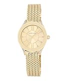 Anne Klein Damenuhr Analog Quarz mit Edelstahlarmband AK/N2208CHGB in der Farbkombination Champagner/Gold