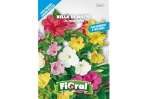 L'ORTOLANO Sementi da fiore di qualità in bustina per uso amatoriale (BELLA DI NOTTE IN MISCUGLIO)