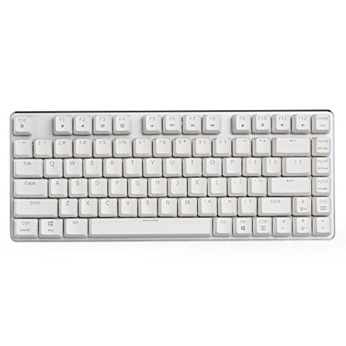 Preisvergleich Produktbild 30% Rabatt Mechanische Gaming Tastatur Blau Hintergrundbeleuchtung GATERON Blauer Schalter 82-Tasten (80%) Wired Mini Design Tastatur-Case Weiß von Qisan
