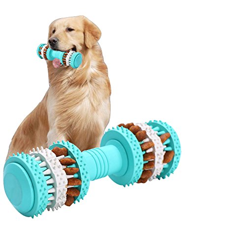 Cachorro Juguetes Interactivo – Squeak juguete para perro de goma perro agilidad y pequeño mediano y grande perros – Fill Masticar juguete con cosas que hacer para detener el aburrimiento Masticar Juguetes – Bone Forma Diseño limpia los dientes