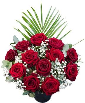 12 Red Naomi Large Headed Roses presented in a hand tied Bouquet with lush foliage and delivered for Free