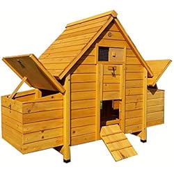 Poulailler 4 A 6 Poules Shopping And Co