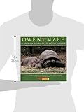 Image de Owen y Mzee: La Verdadera Historia de Una Amistad Increible (Owen and Mzee)