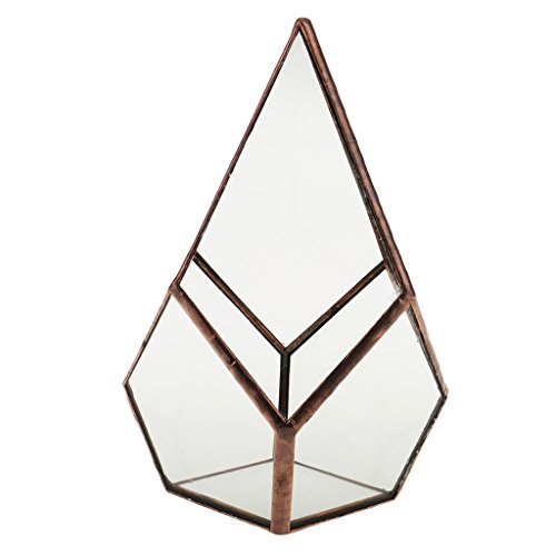Luft Pflanzer Mini Glasterrarium Geometrisches Glas Sukkulente Pflanzgefäß Haus Dekoration 16x16x25cm – Kupfer - 3