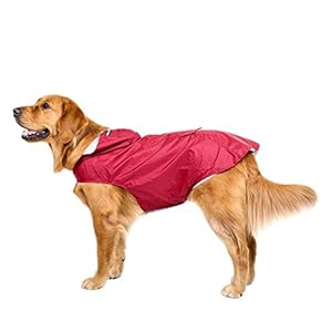 Bwiv Chupasquero Perro Impermeables Perros Grandes Medianos con Capucha Ajustable Collar Agujero Banda Reflectante Ultra-Light Transpirable Talla 3XL Amarillo