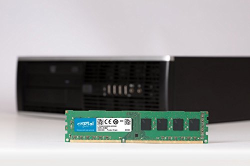Crucial CT51264BD160B - Memoria RAM de 4 GB  DDR3L  1600 MT s  PC3L-12800  DIMM  240-Pin 