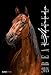 Beautiful Horses 2018 - Pferde - Bildkalender (34 x 50) - Tierkalender: by Nicole Hollenstein by 