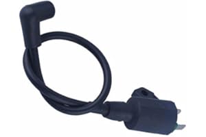 YJDOORPLAY Bobina de encendido de repuesto para generador ET950 ET650 EF1000AX 650W 800W 950W 1000W 1KW 1E45F Motor de motor estilo chino dos generadores pieza de repuesto fácil instalación