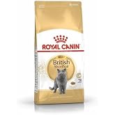 Royal Canin British Shorthair Adult Yetişkin Kedi Maması 2 Kg