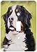 Price comparison product image 3dRose LLC LSP_4402_1 Bernese Mountain Dog, Single Toggle Switch