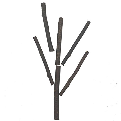 gabbrein 100 Stück Holz Sticks Pet Snacks Kauspielzeug für Meerschweinchen Chinchilla Eichhörnchen Kaninchen Parrot & DIY Holz Log Sticks für Crafts Foto Requisiten Dekoration L - 4