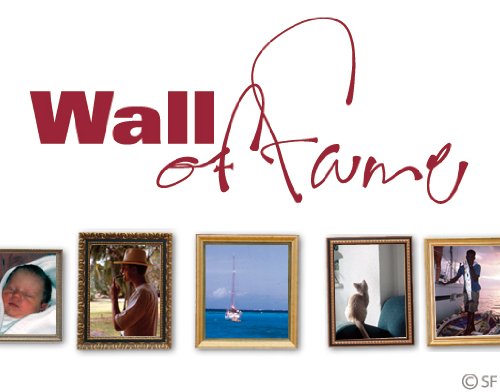 Wandtattoo Wall of Fame uss415 Wandaufkleber Wandsticker Wohnzimmer Schlafzimmer 70 x 30 dunkelbeige - 4