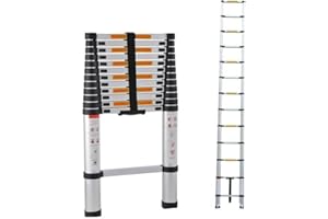 RIGOGO Scala telescopica in acciaio inox, 2,6 m, antiscivolo, allungabile, con 9 pioli, facile da trasportare, portata 150 kg