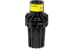 Rain Bird tryckmätare 2,1 bar – 3/4 tum IG (PSI-M30)