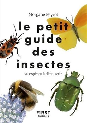 First Le petit guide des insectes - 70 espèces à découvrir