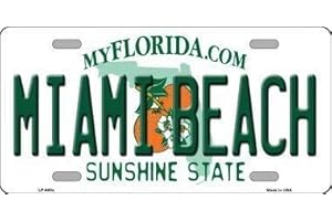 FANGZIN Lotusworld Plaque d'immatriculation en métal Fantaisie Miami Beach Floride 20,3 x 30,5 cm