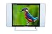 Vispro 17 inches LTHD1701 Full HD LED TV (WHITE with CLASSY SILVER border stripe) RS.5899.00