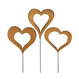 Set aus 3 Herzen wir auf der Abbildung