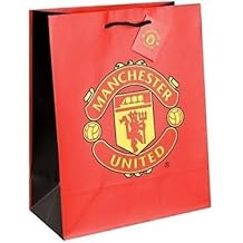 Manchester united essay example 07 image