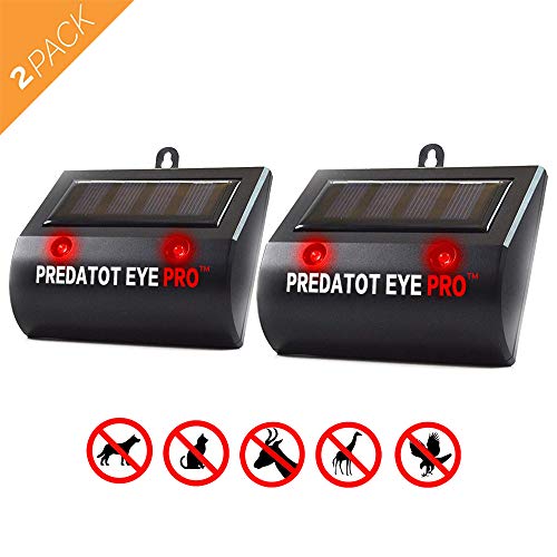 Comforday 1924X2 Predator Eye PRO, 2 Pezzi, deterrente a energia Solare, a LED, Repellente per Cortile, Esterno, Notturno, simula Le Torre di Fuoco, Animali Selvatici, Colore Nero