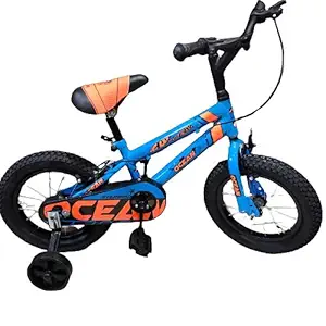 Kids Bicycle Ocean Starbird Blue Colour