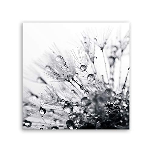 ge Bildet Bilderdepot24 hochwertiges Leinwandbild Pflanzen Bilder - Another World - schwarz weiß - Blumen Natur Pusteblume - 50 x 50 cm einteilig 2207 H